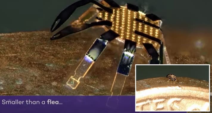 벼룩보다 작은 원격조종 보행 로봇 VIDEO:Tiny robotic crab is smallest-ever remote-controlled walking robot