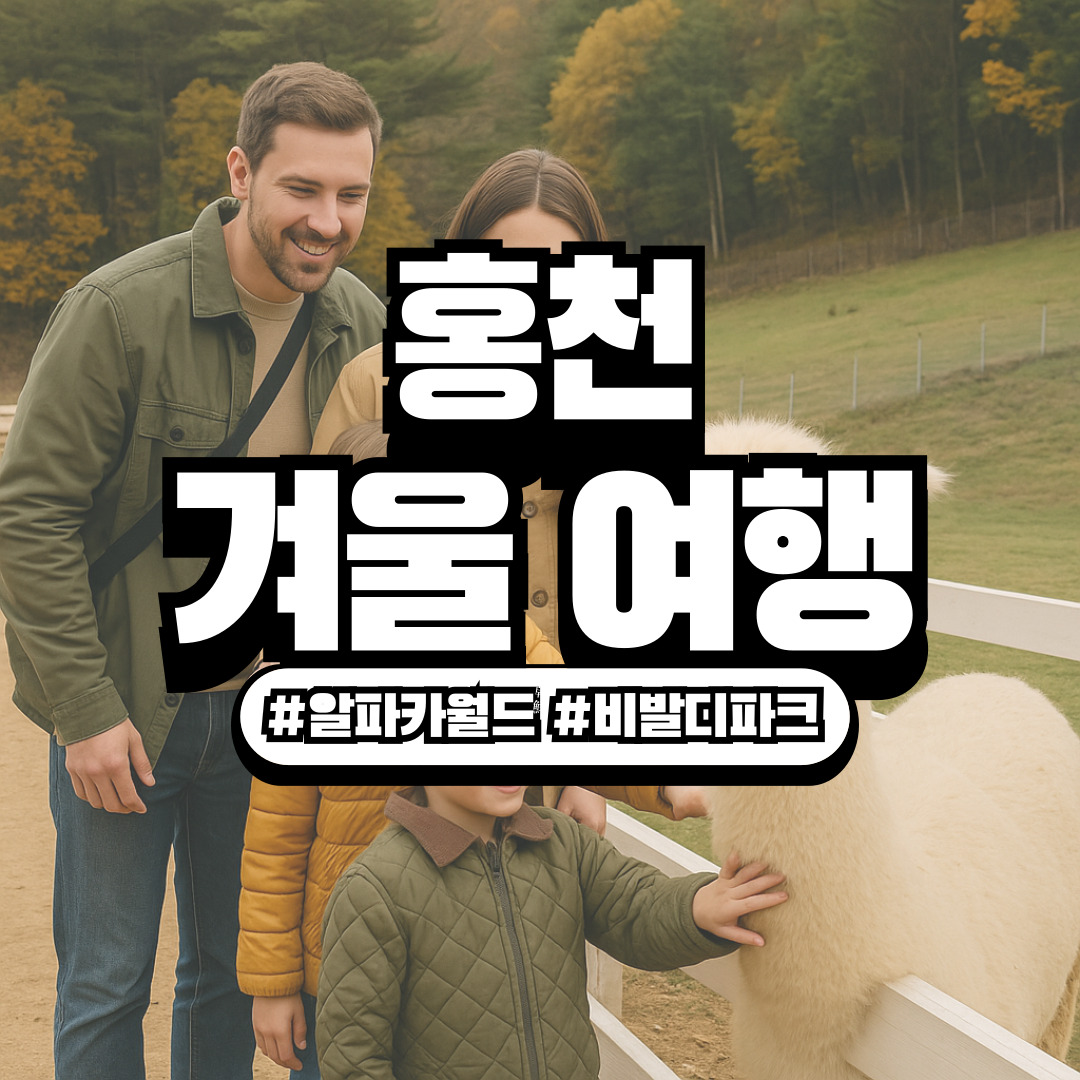 강원도 홍천 알파카월드 & 비발디파크 – 아이와 함께하는 리조트형 동물체험 여행 코스