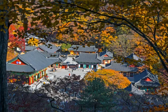 내장사