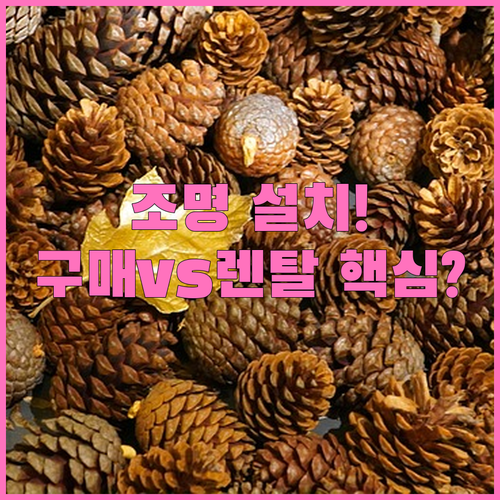 상업 공간 연말 조명 설치 구매 및 ..