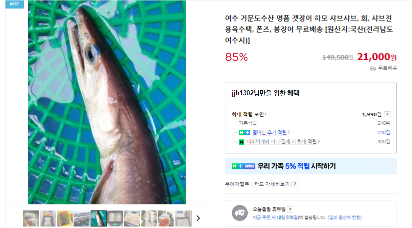 갯장어와 붕장어 차이 및 샤브샤브 요리 (+제철 효능)