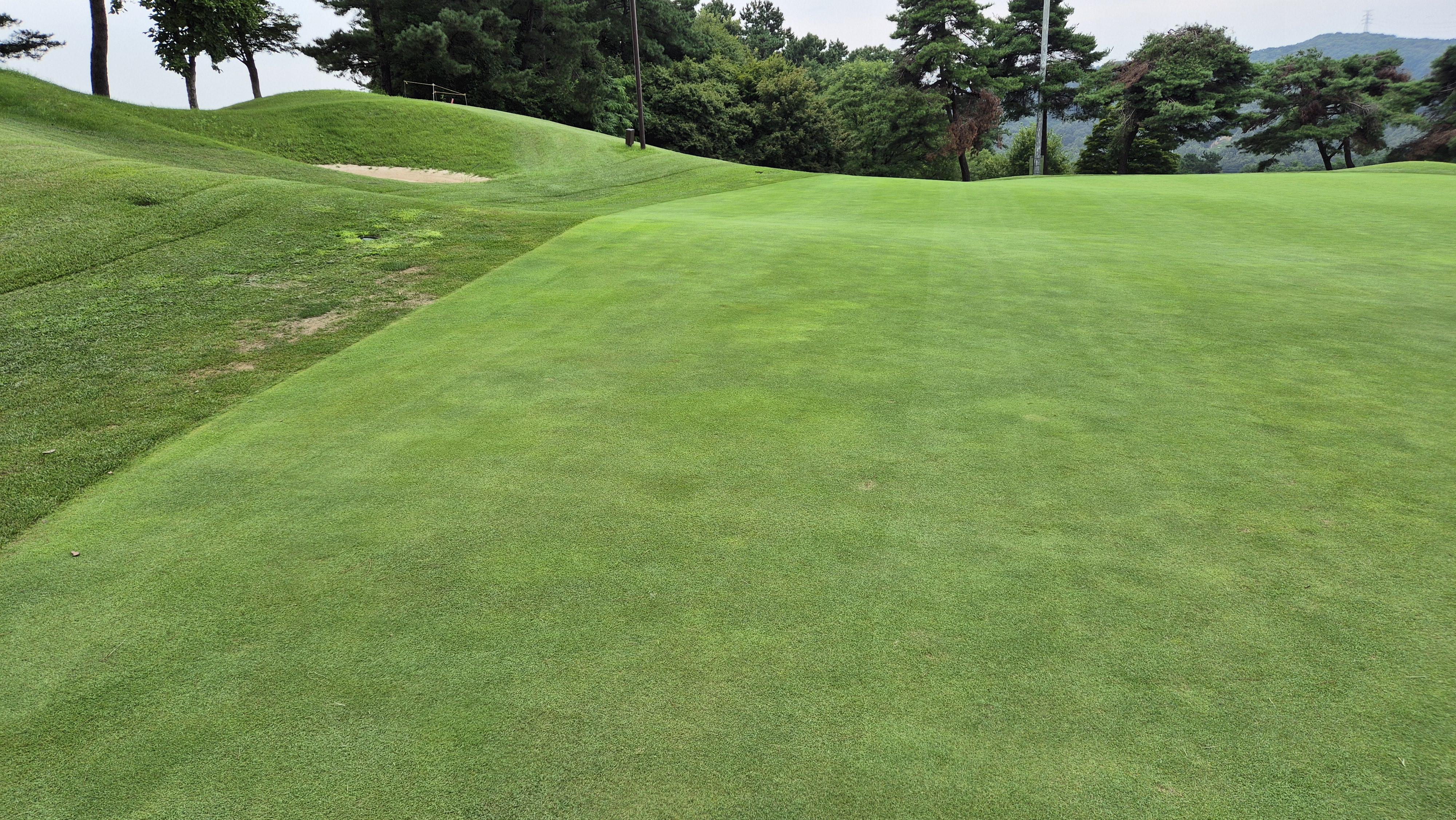 한림용인cc 다이아몬드-사파이어 코스 라운드 후기