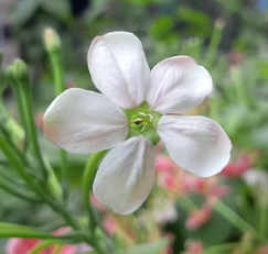 전국 9월 축제 행사 일정 (BEST 6 축제 행사)