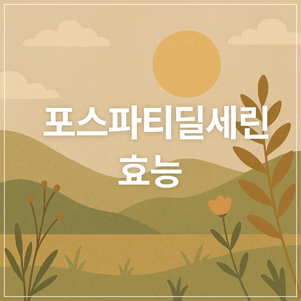 포스파티딜세린 효능