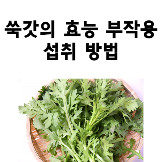 쑥갓의 효능과 부작용&#44; 섭취 방법