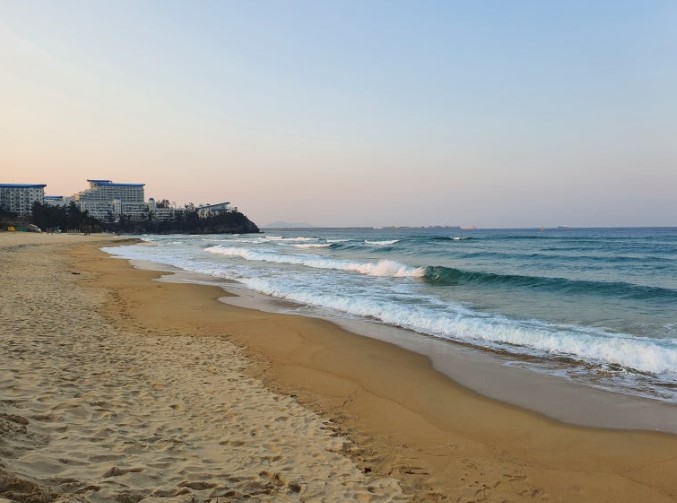 동해안 해수욕장 관련 사진