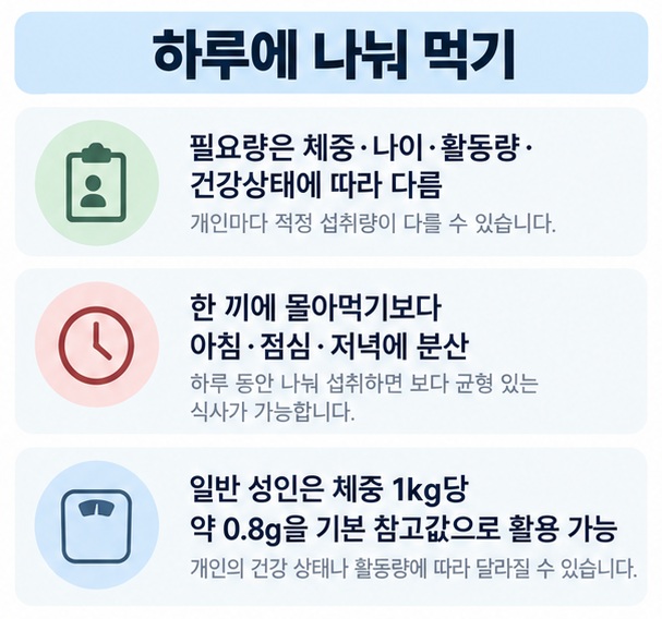 하루 단백질을 아침 점심 저녁에 나눠 먹고 체중과 활동량에 따라 필요량을 확인하는 모습을 보여주는 이미지