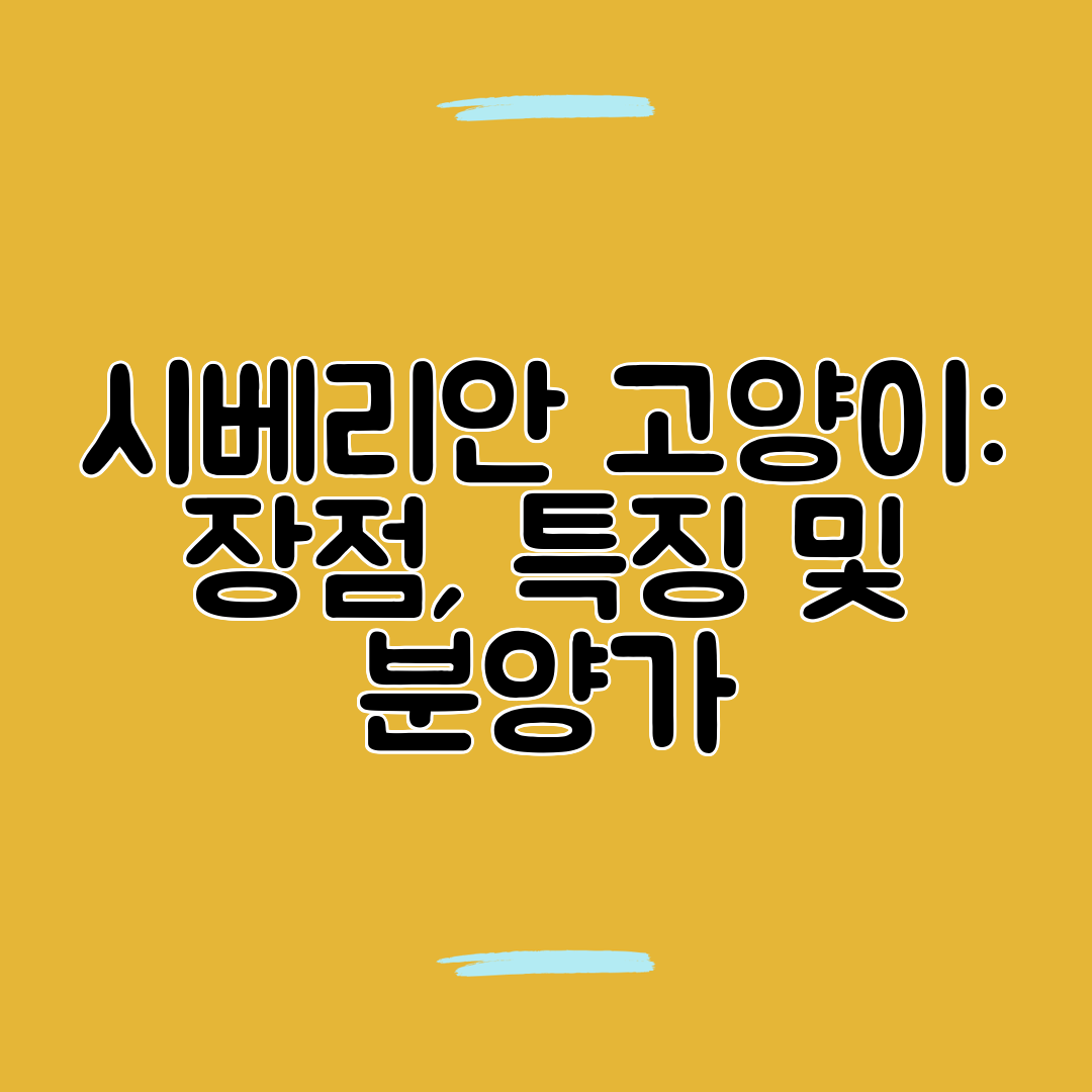 시베리안 고양이 장점, 특징 및 분양가