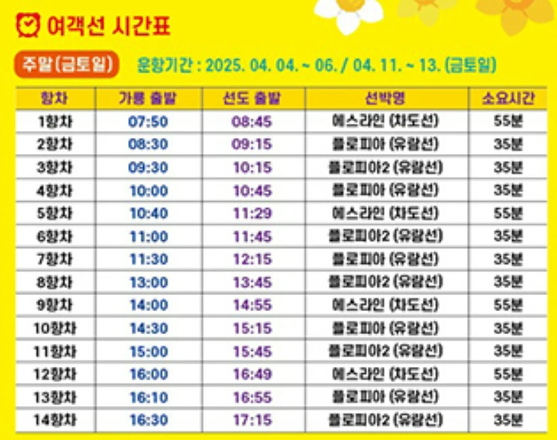 2025 신안 섬 수선화 축제 일정, 입장료, 여객선 시간표 총정리