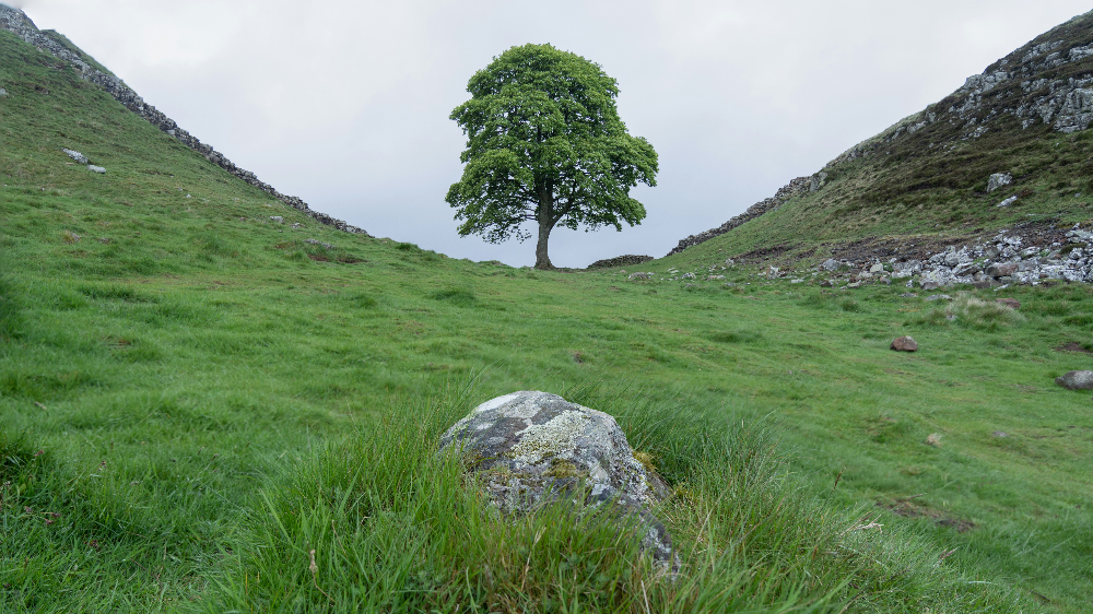 지장간의 이해와 심화 탐구