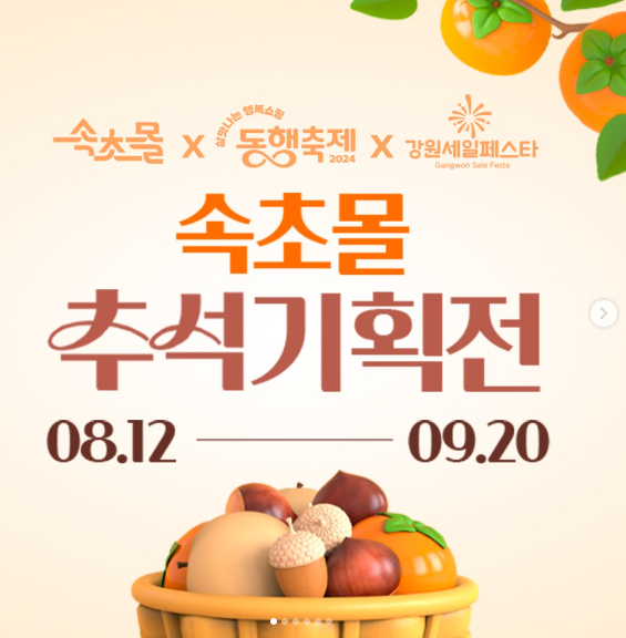 속초몰 추석기획전