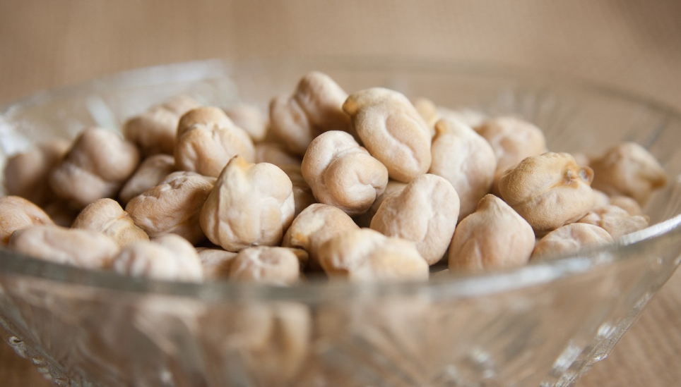 병아리콩_에피소드