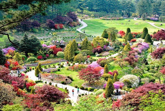 아침고요수목원 포스터사진