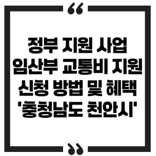 정부 지원 사업 '임산부 교통비 지원' 신청 방법 및 혜택 – 충청남도 천안시