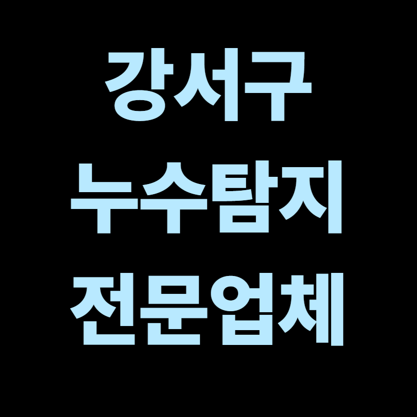 강서구 누수탐지 전문업체