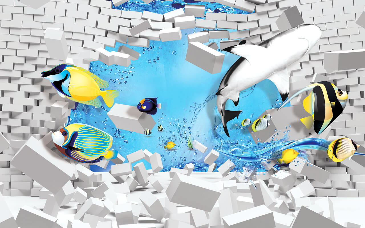 마이크로네이션의 경제 체제