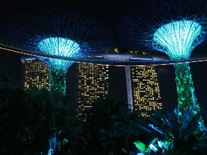 싱가포르 여행 추천 슈퍼트리그로브