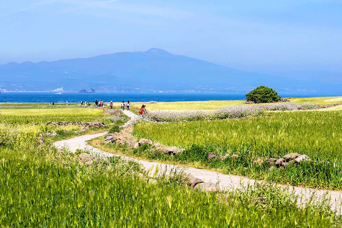 4월 봄 제주 가볼만한곳 명소 TOP 05 데이트 주말 나들이 추천