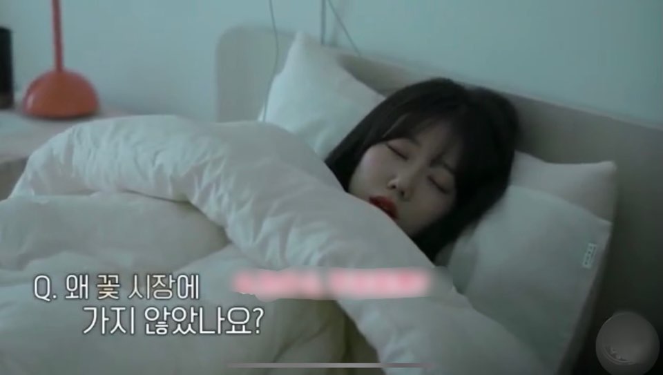 Tvn 환승연애 다시보기