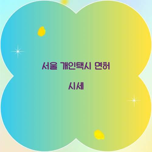 서울 개인택시 면허 시세