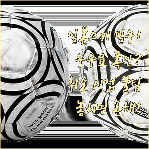 초성수기 일본 스키 항공권 환불 수수..