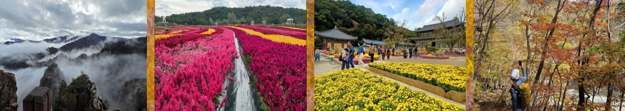 케이제이산악회 회원이라면 꼭 읽어야 할 2025 등산 팁 TOP5