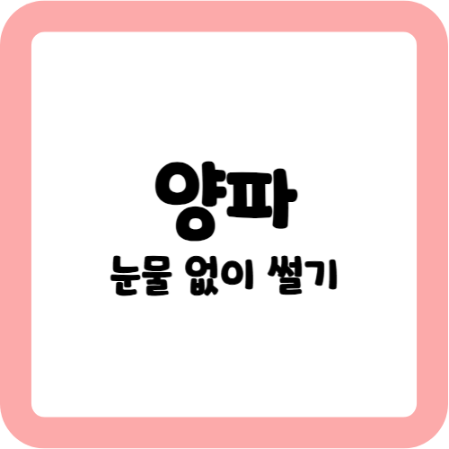 양파 눈물 없이 썰기