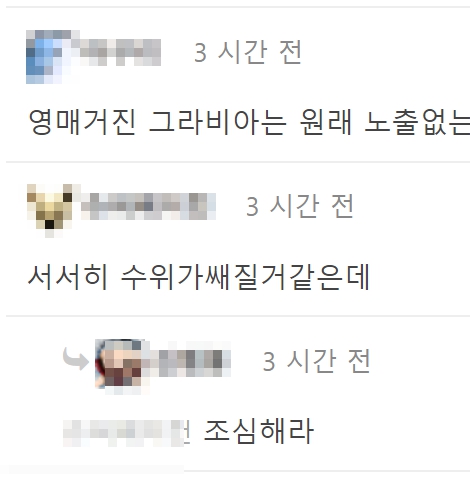 하연수 일본 그라비아 모델 데뷔 AV 진출 루머 인스타 나이 학력 프로필