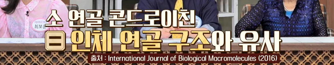 콘드로이친 복용법