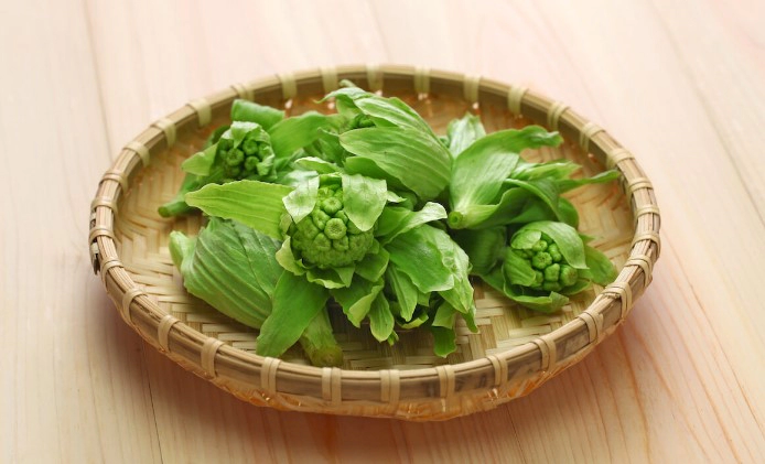 머위 데치기 및 먹는법