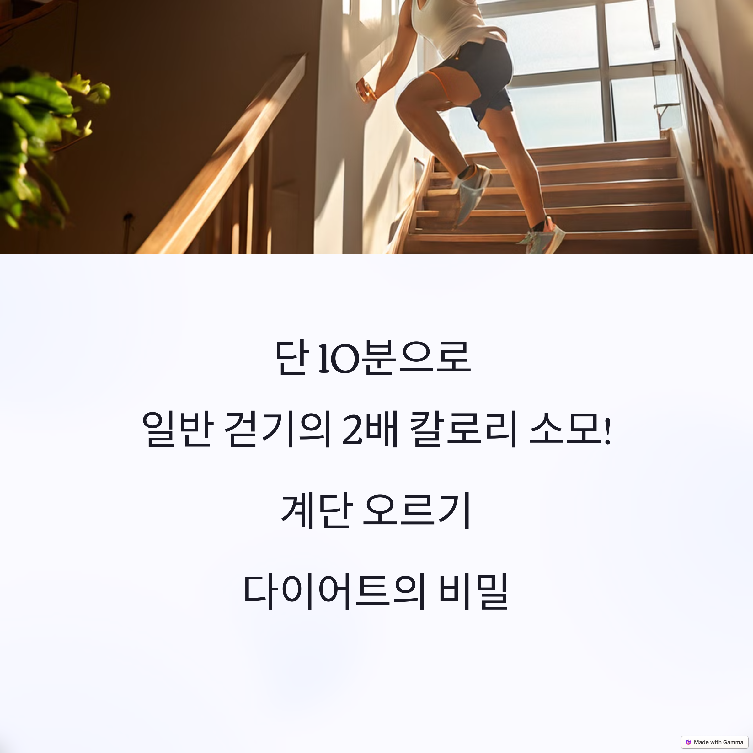 계단오르기 다이어트 효과