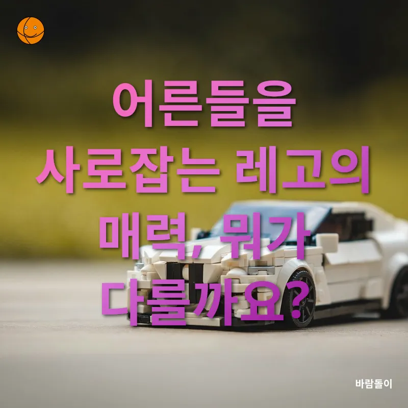 어덜트 레고_1