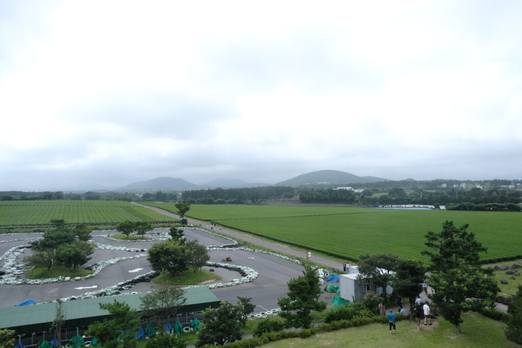 제주 오늘은 녹차한잔 전경