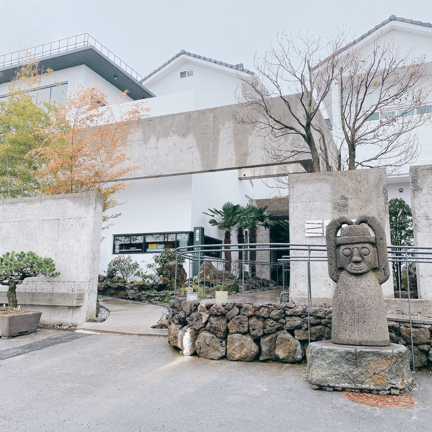 제주 신비마을 도깨비도로 벚꽃명소 레크레 카페