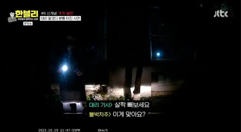 신개념 주차 빌런 대리 기사 17