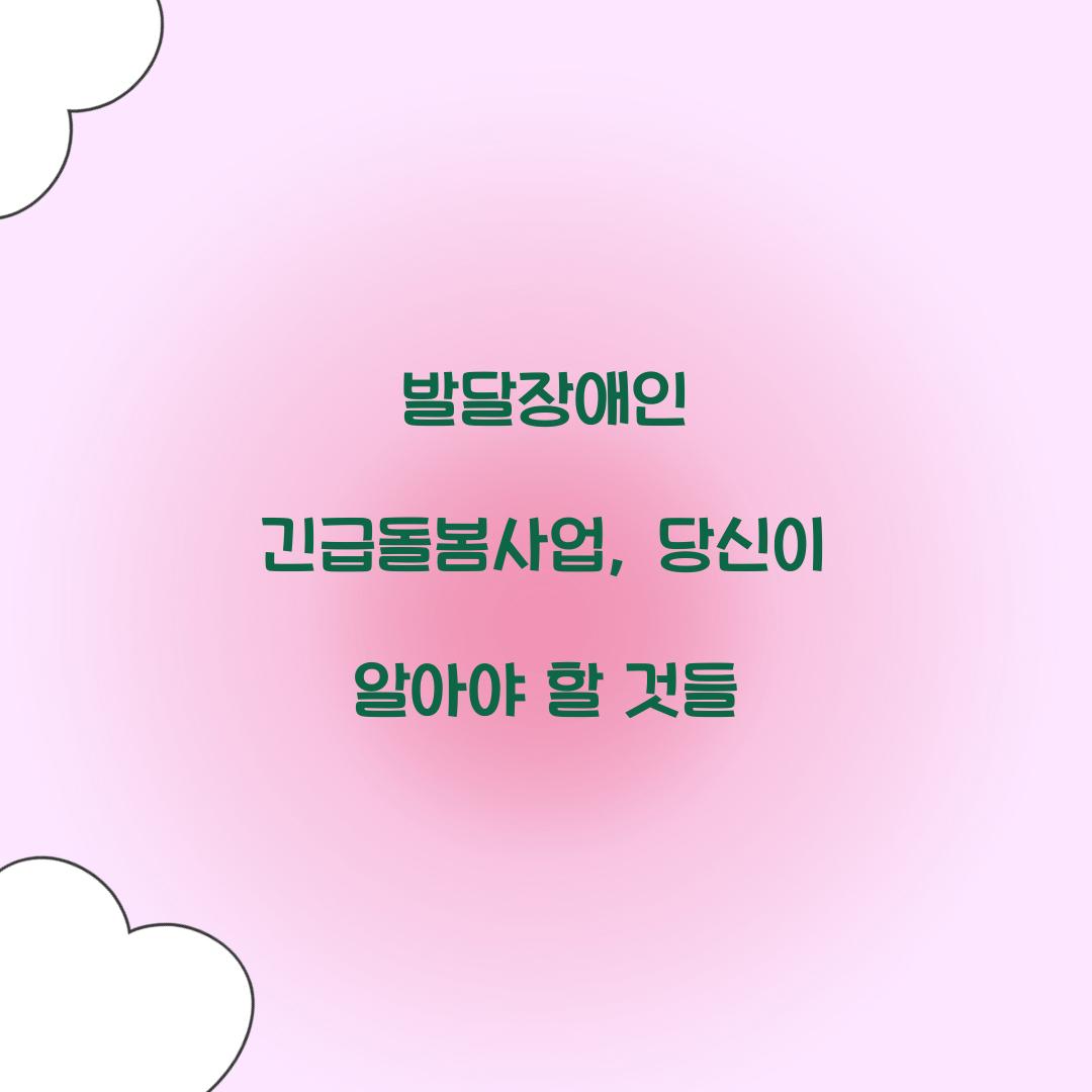 발달장애인 긴급돌봄사업