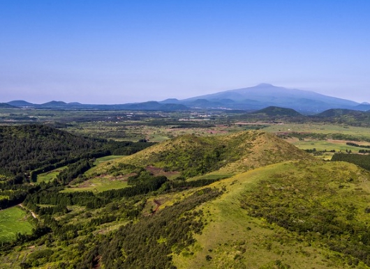 가을여행/11월/제주/감성/여행지