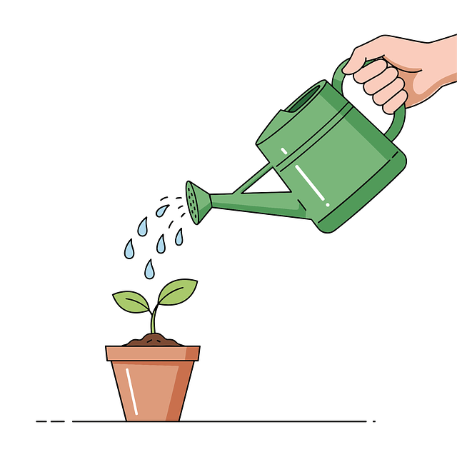 🌱 첫 일주일의 기록 – 물 주는 법과 자리 잡기