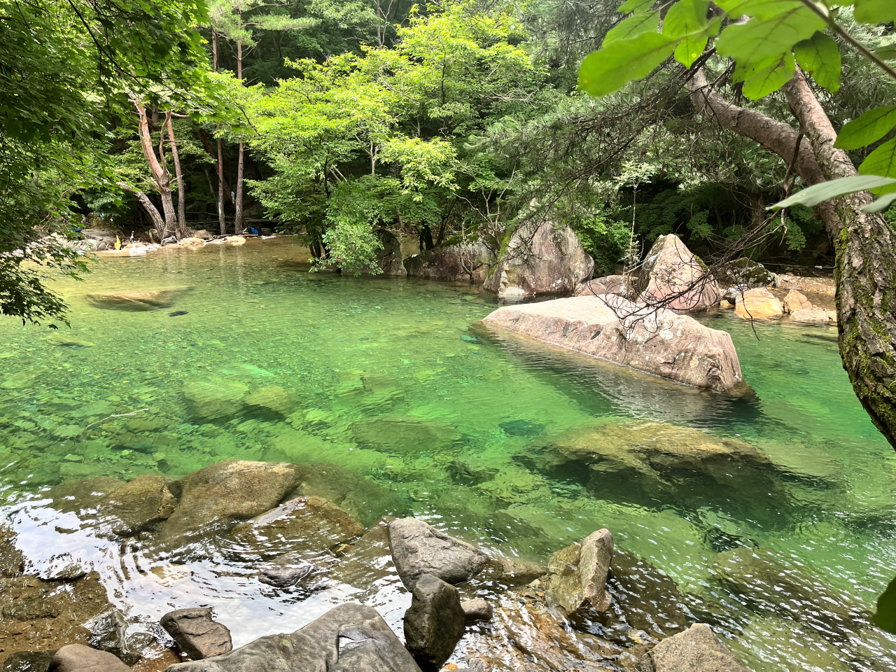 나무사이에-푸른빛의-깨끗한-계곡