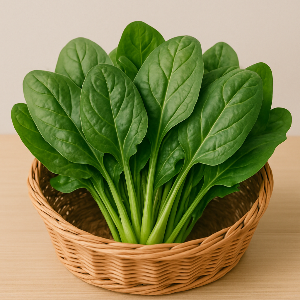 시금치 이미지