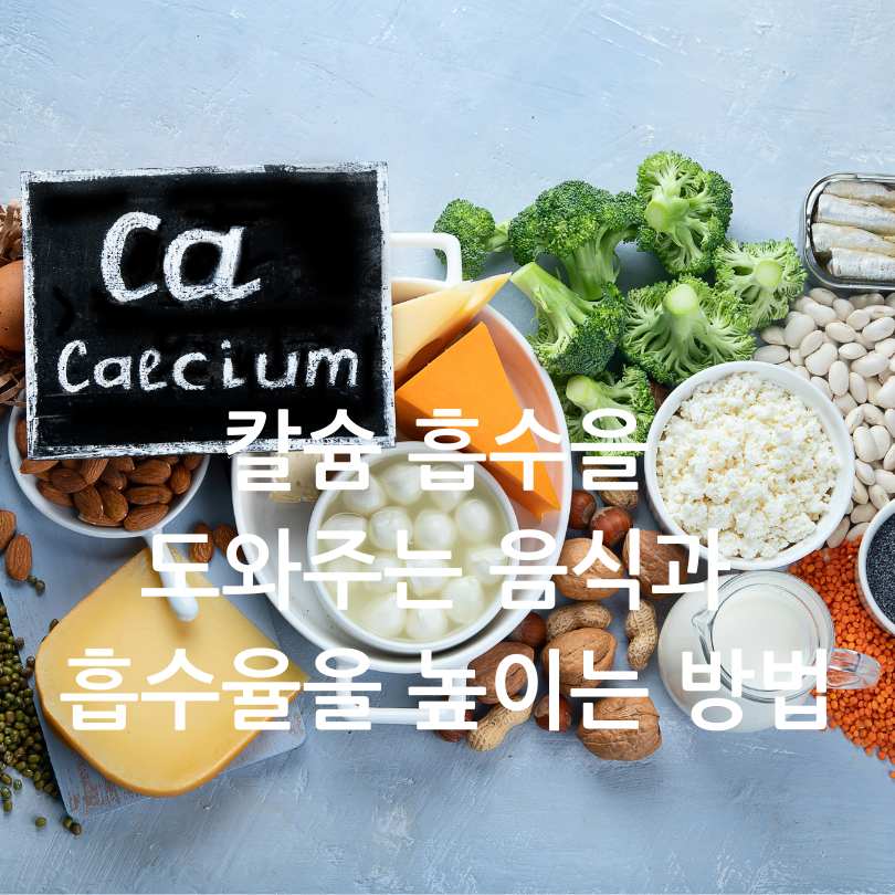 칼슘흡수를 도와주는 음식,흡수율 높이는방법
