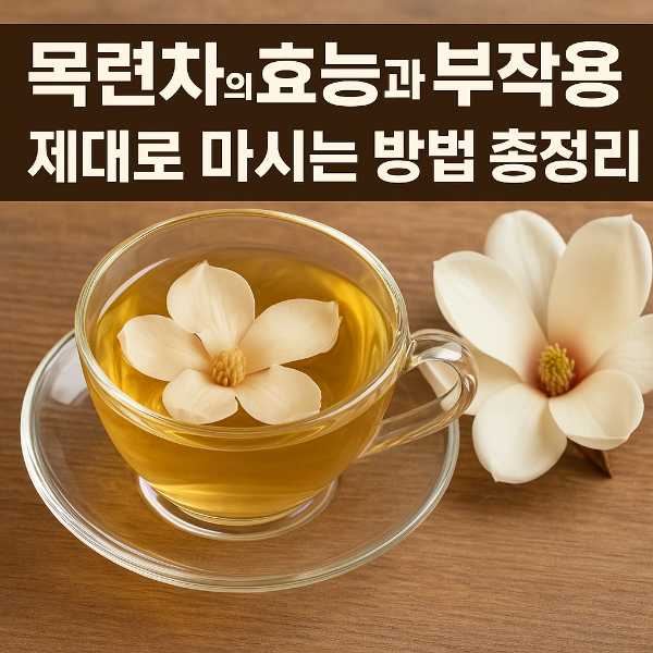 목련차의 효능과 부작용, 제대로 마시는 방법 총정리