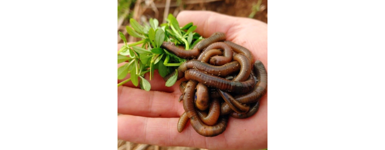 대구 북구 낚시용품