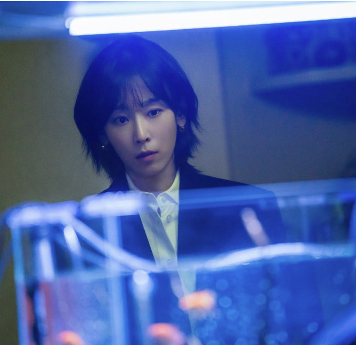 트렁크