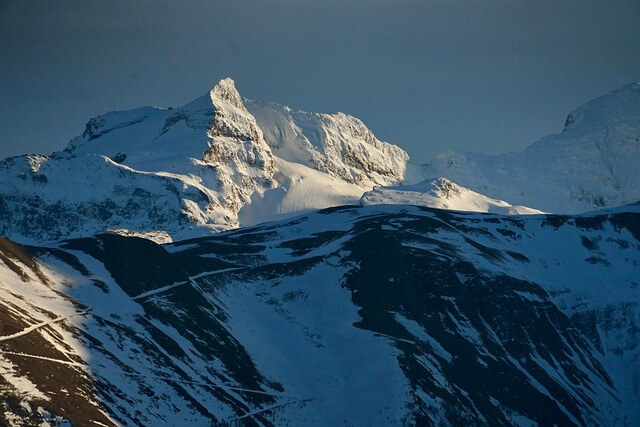 통풍에 해로운 음식 – 통풍 환자가 반드시 피해야 할 식단