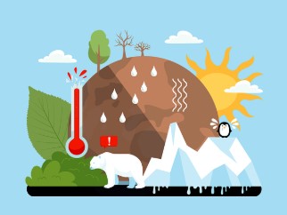 김 가격 폭등 &ldquo;이게 웬 날벼락&rdquo; &hellip; 사라질 위기 놓인 한국 김 산업