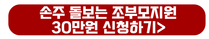 손주 돌보는 조부모지원 30만원 바로가기