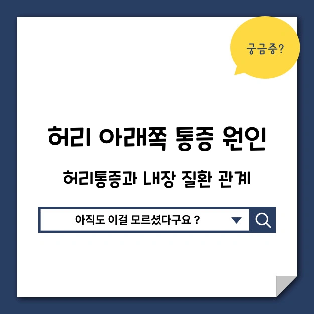 허리 통증 원인