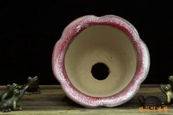 유약분 화분 장단점 통풍관리 물주기주의 실내적합성 체크_29