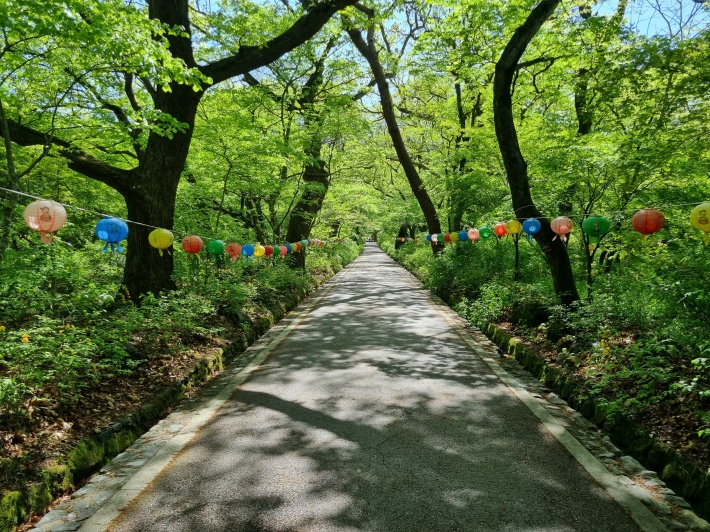 산책로